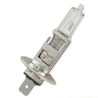 Lampada alogena singola standard   H1 - 12V Ring
